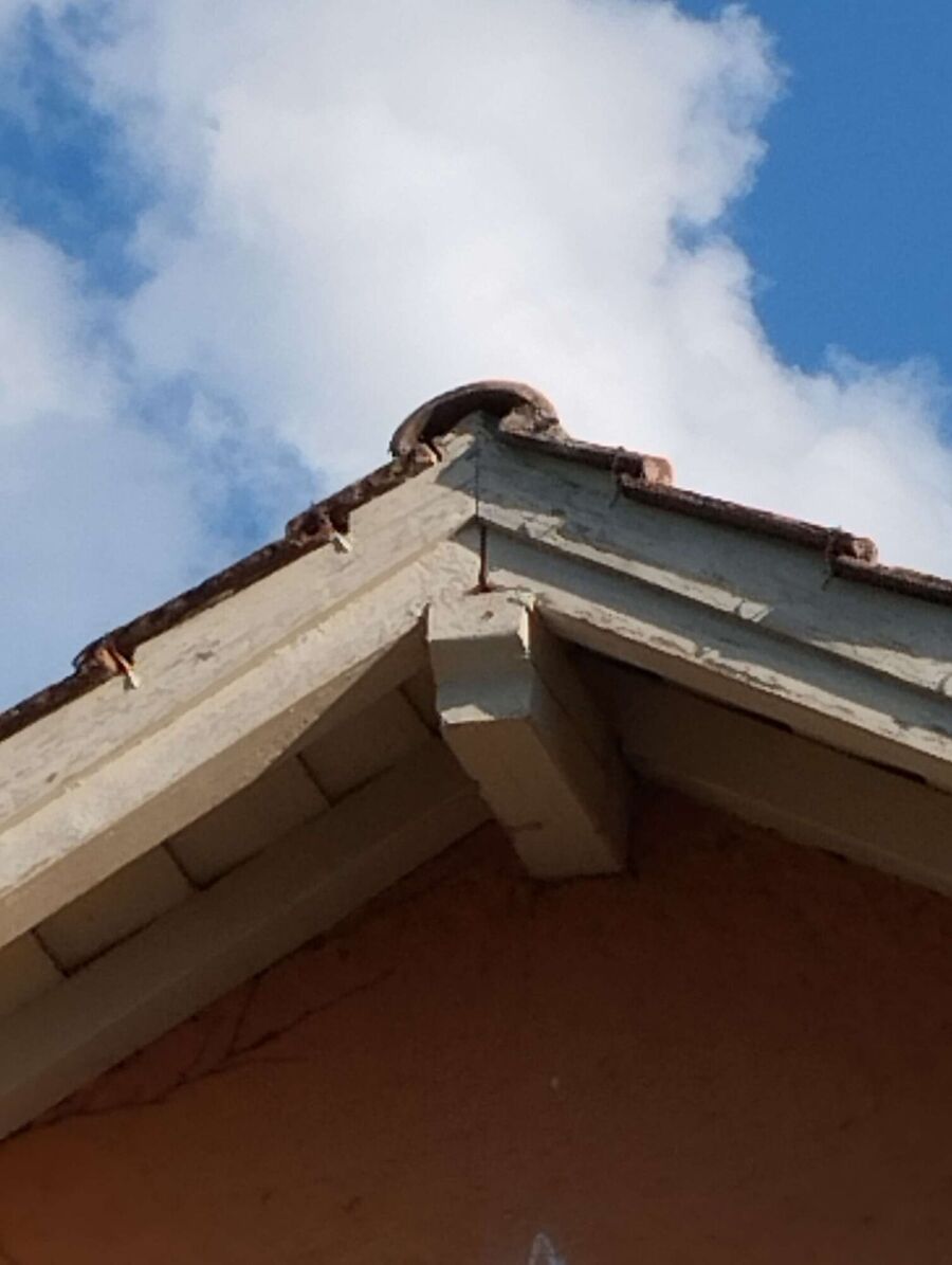  Bienennest entfernen