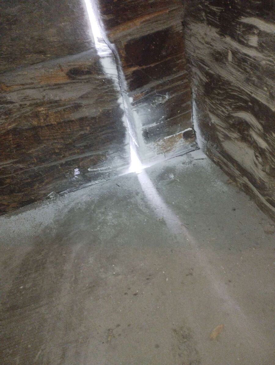  Bienennest entfernen.jpeg