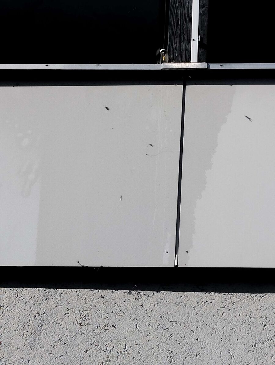  Bienennest entfernen