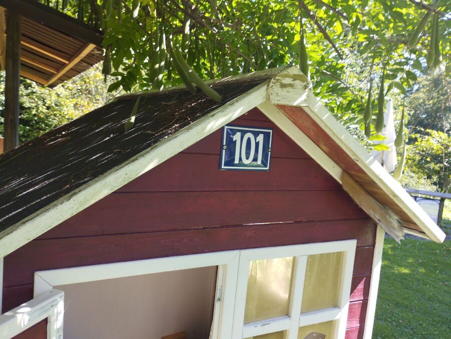  Bienennest entfernen.jpeg