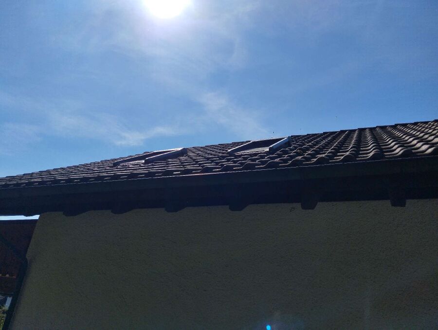  Bienennest entfernen