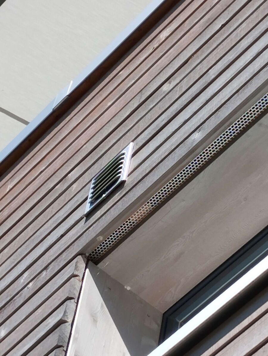 Bienen umsiedeln &  Bienennest entfernen 