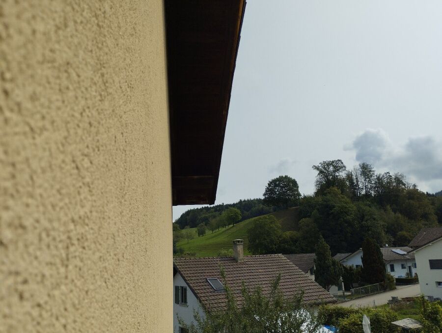  Bienennest entfernen.jpeg