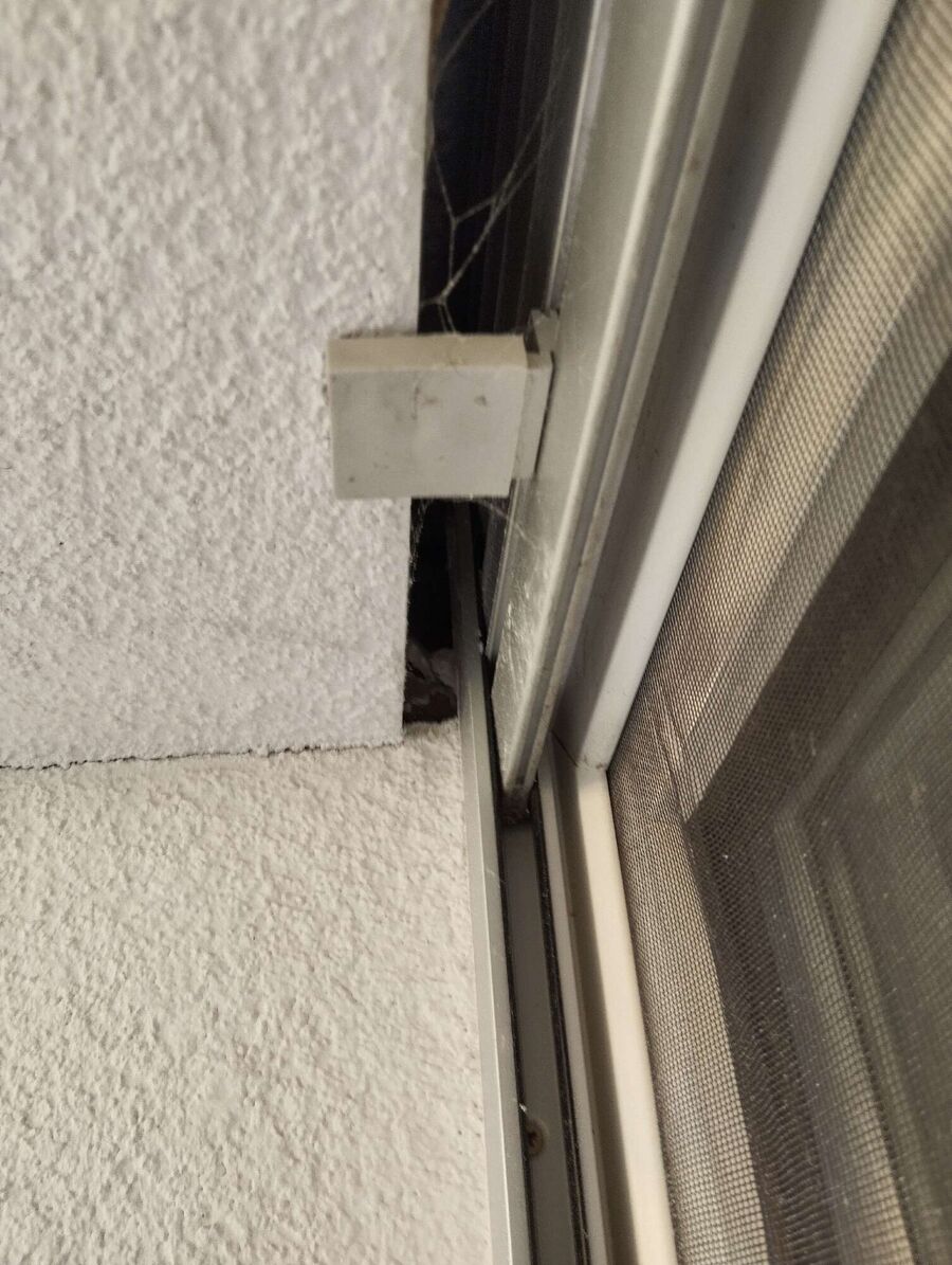  Bienennest entfernen