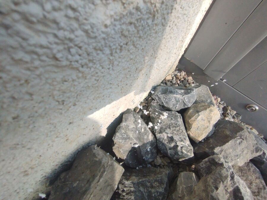  Bienennest entfernen.jpeg