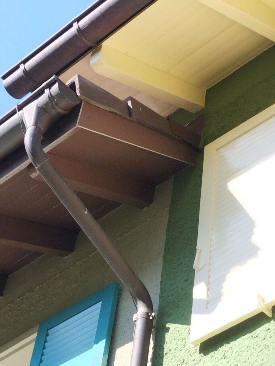  Bienennest entfernen