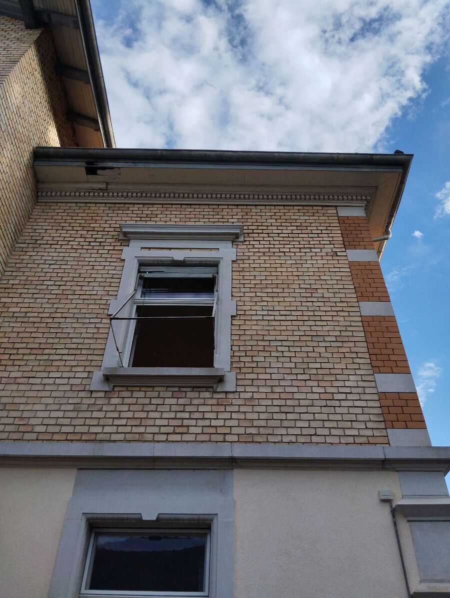  Bienennest entfernen