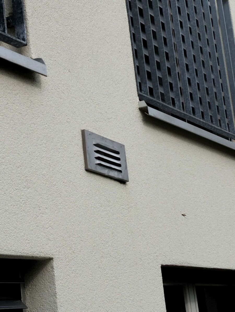  Bienennest entfernen.jpeg