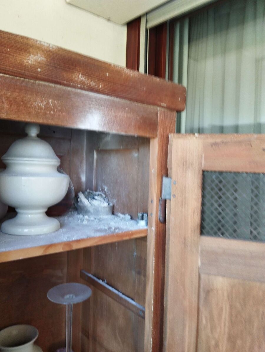  Bienennest entfernen