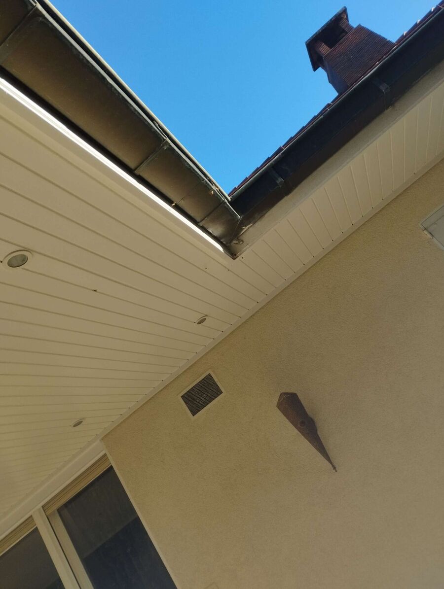 Bienen umsiedeln &  Bienennest entfernen 