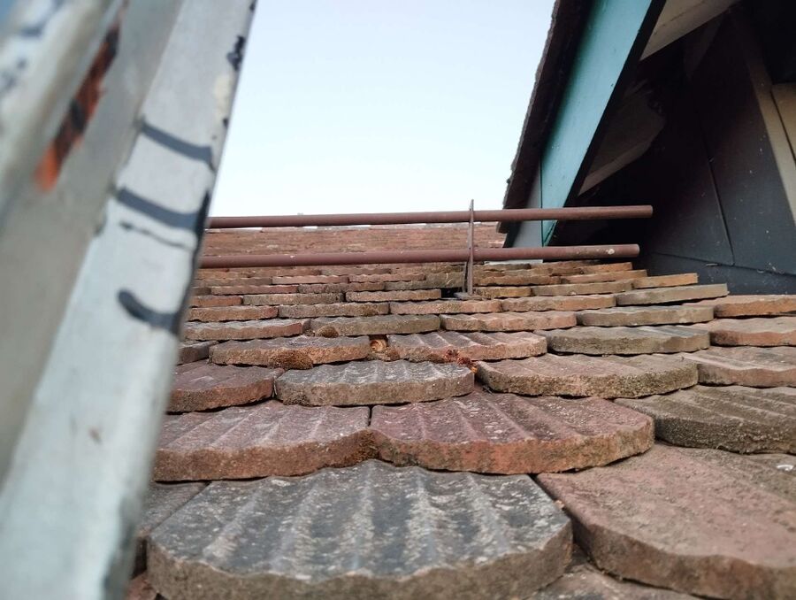  Bienennest entfernen.jpeg