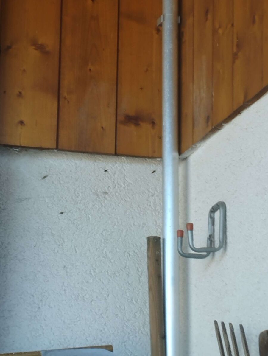  Bienennest entfernen.jpeg