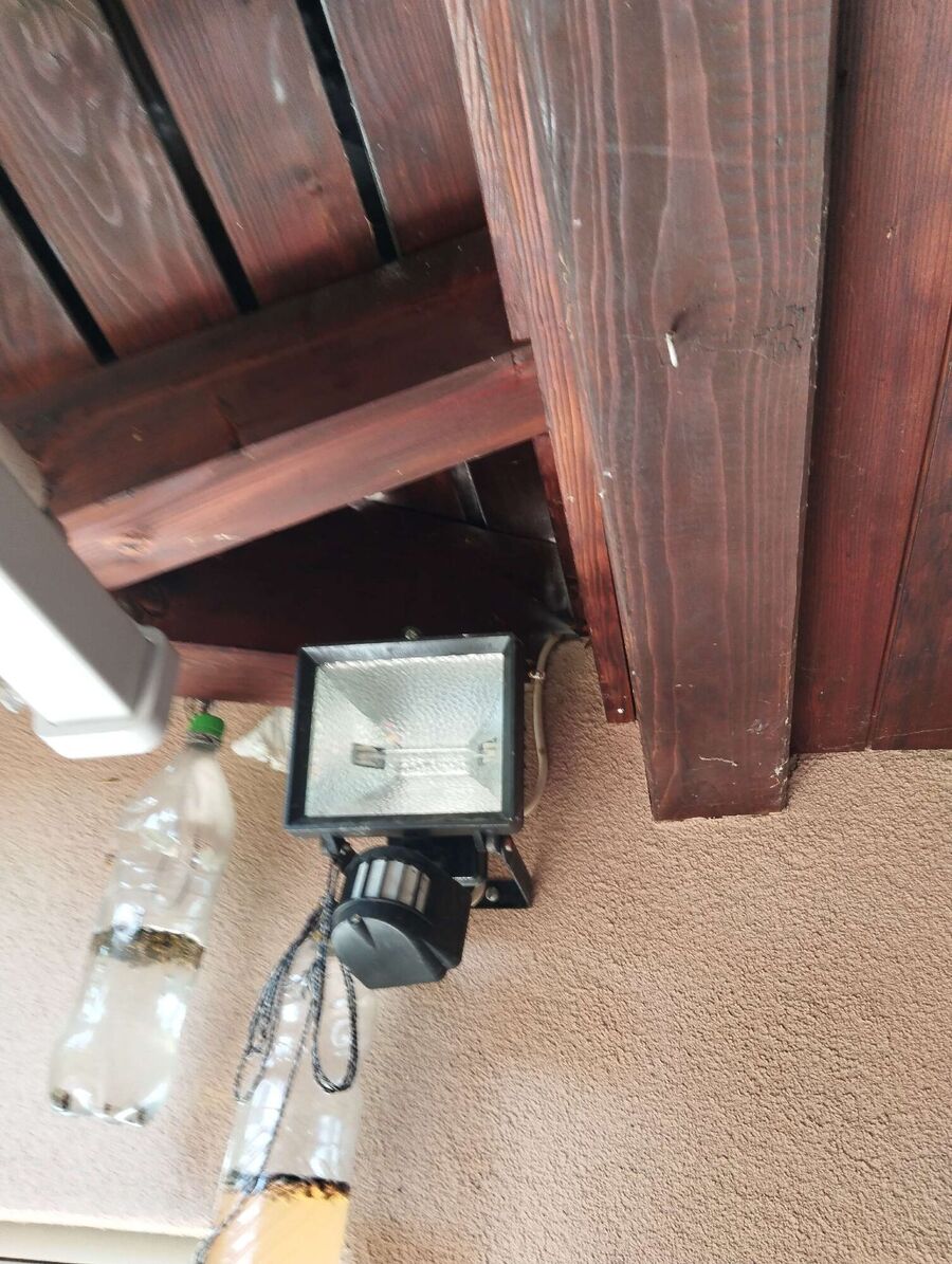  Bienennest entfernen.jpeg