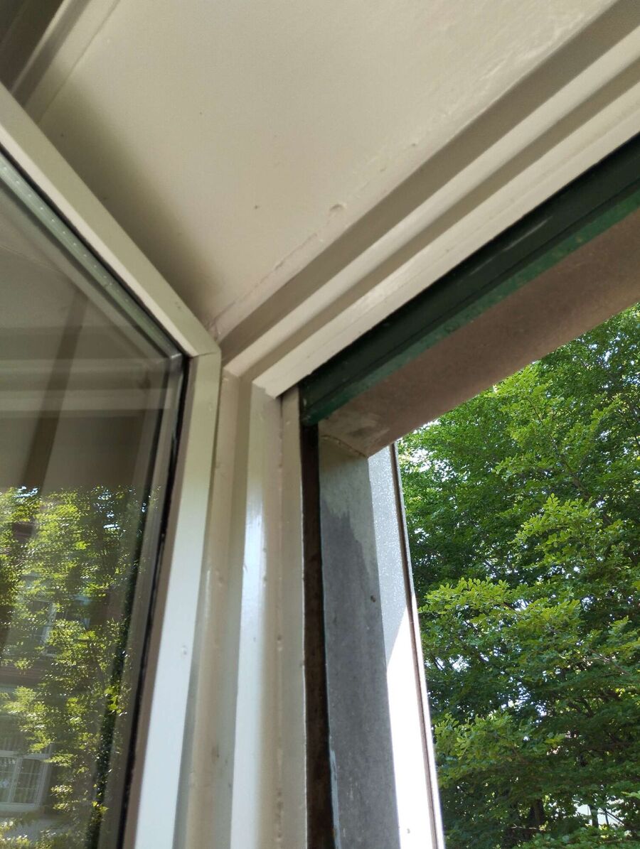  Bienennest entfernen.jpeg