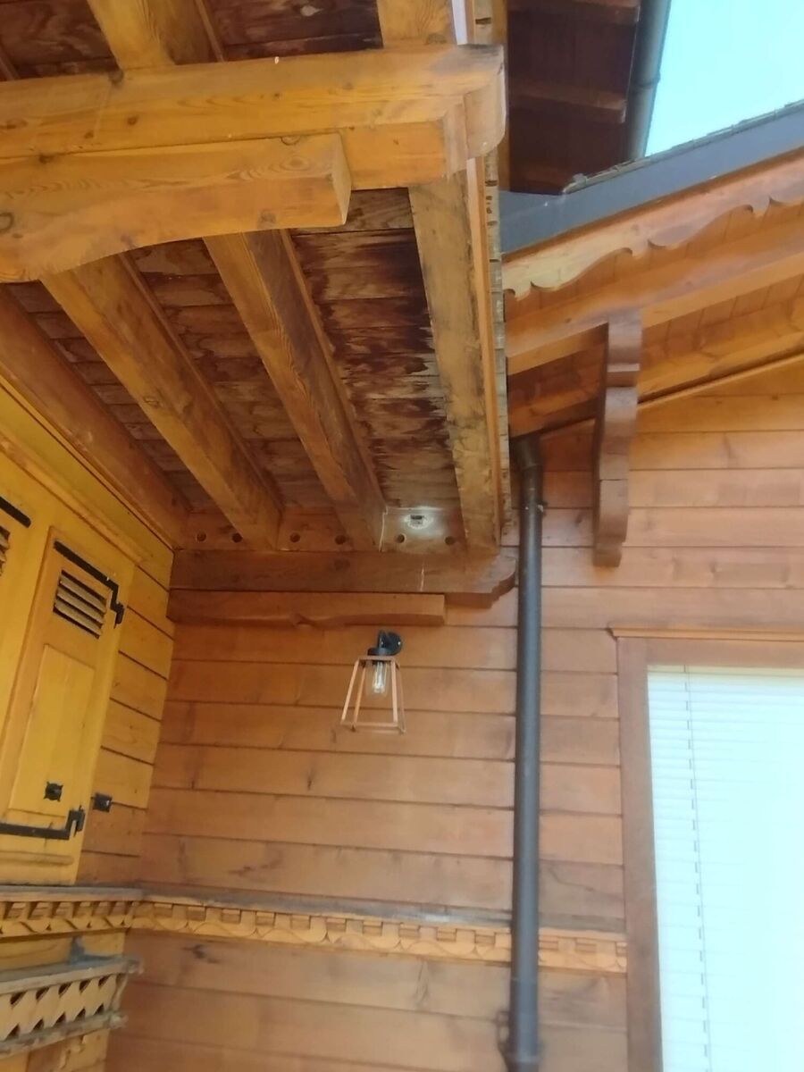  Bienennest entfernen.jpeg