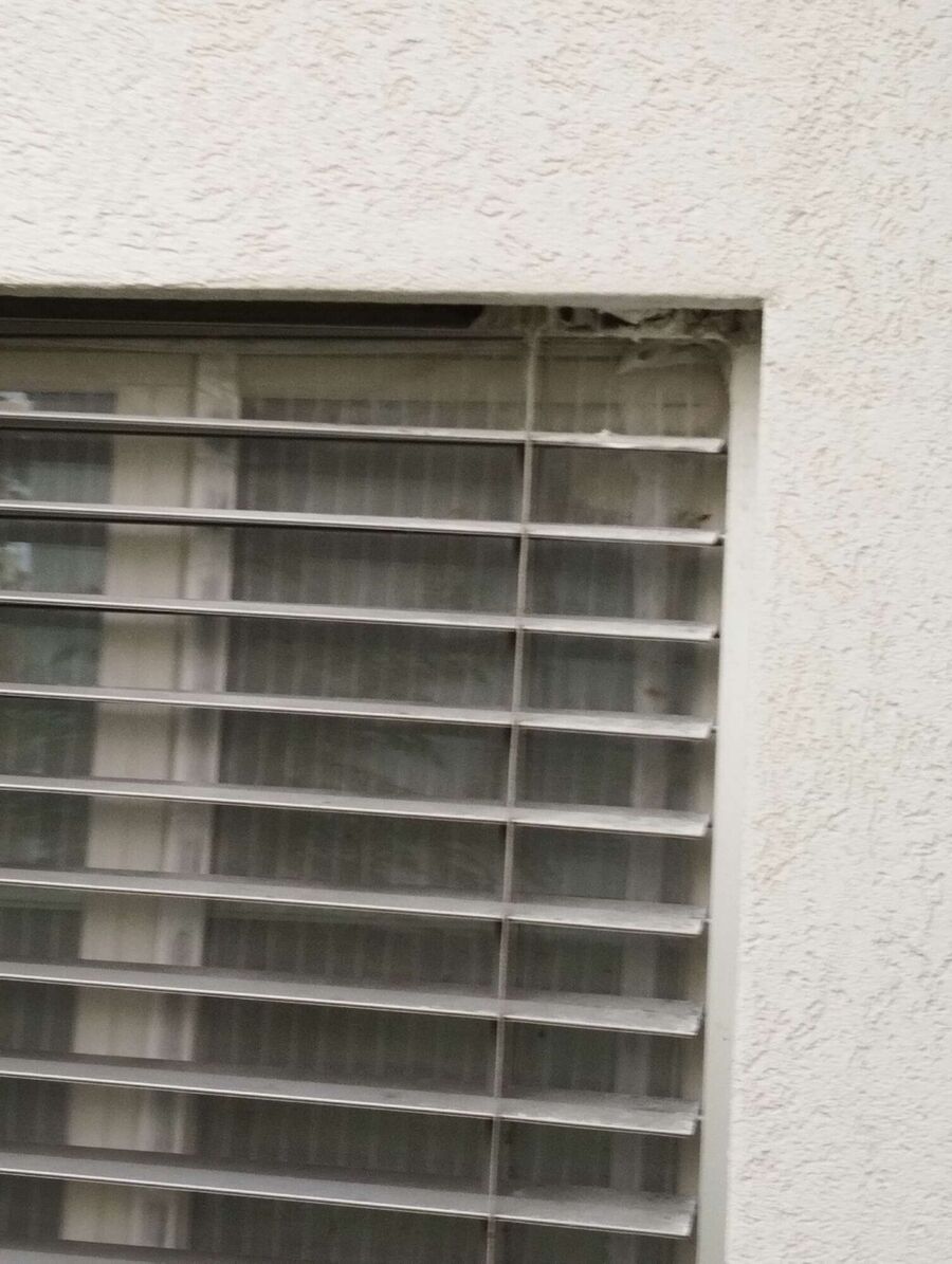  Bienennest entfernen