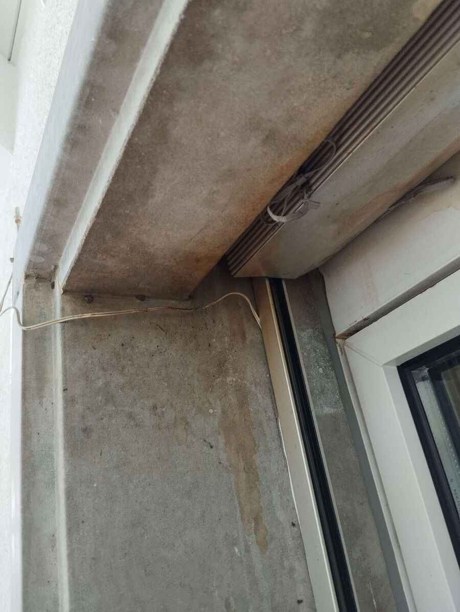  Bienennest entfernen.jpeg