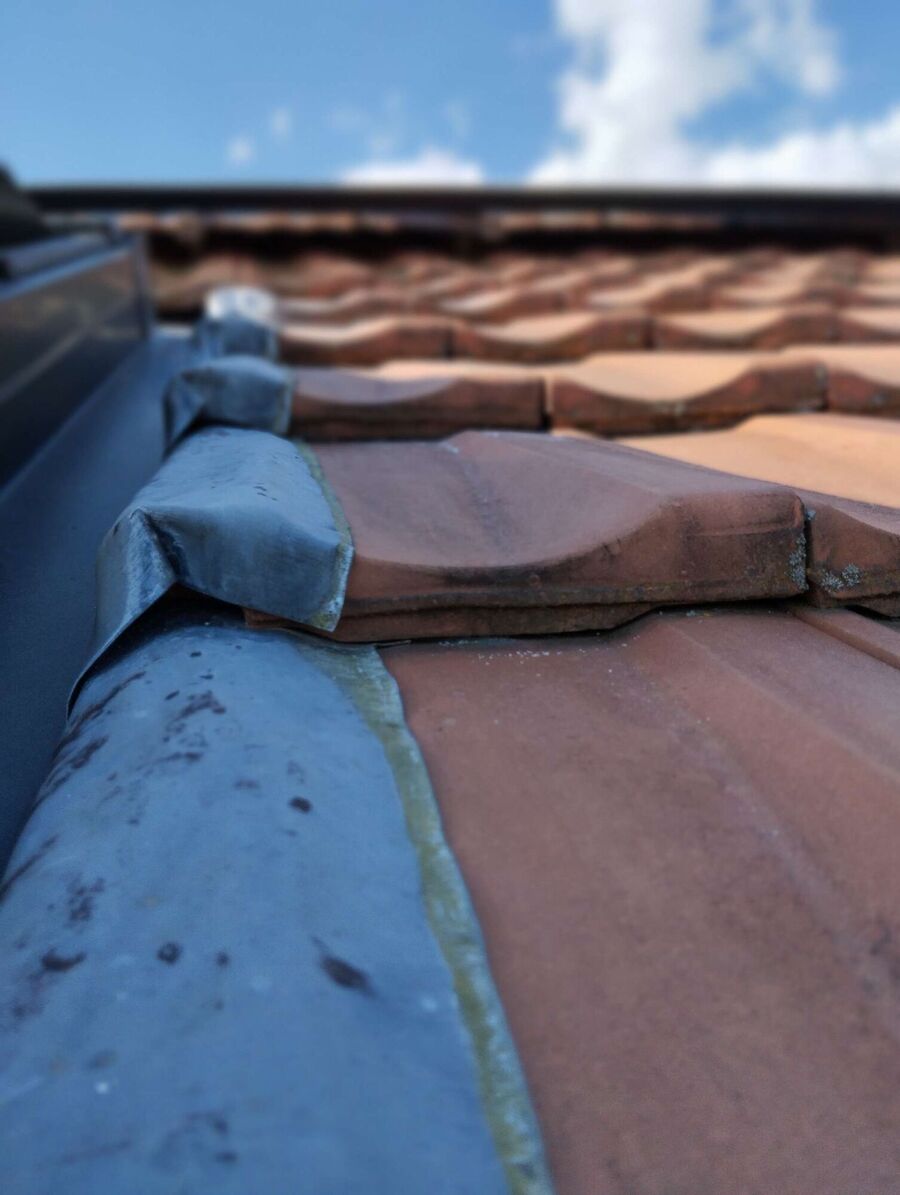  Bienennest entfernen