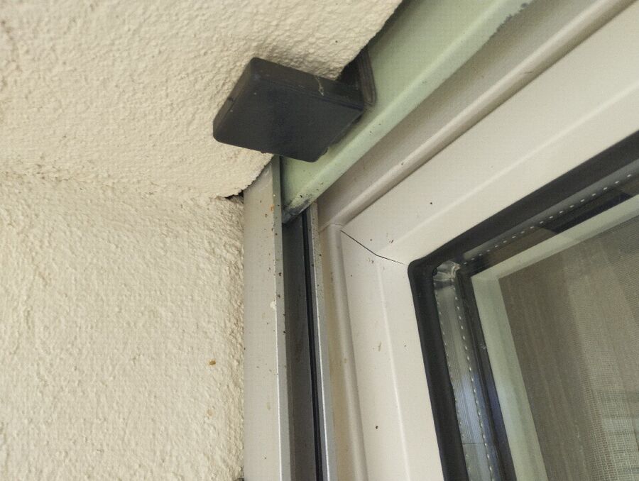 Bienen umsiedeln &  Bienennest entfernen 