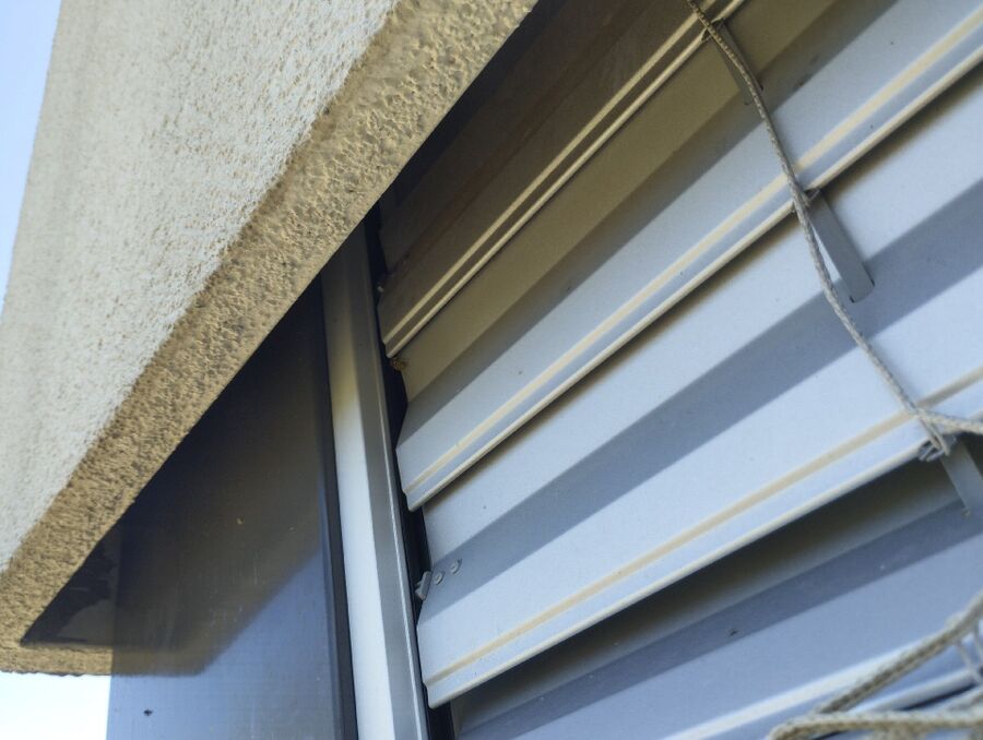 Bienen umsiedeln &  Bienennest entfernen 