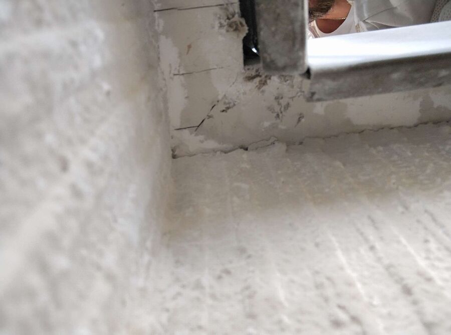  Bienennest entfernen