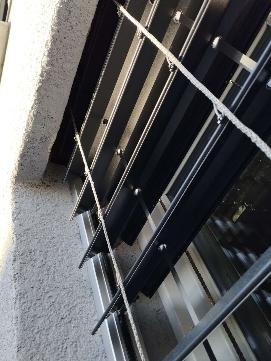  Bienennest entfernen.jpeg