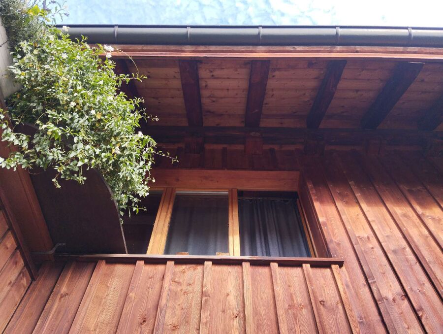  Bienennest entfernen