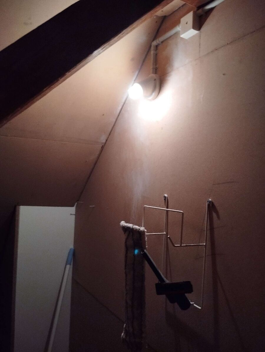 Bienen umsiedeln &  Bienennest entfernen 