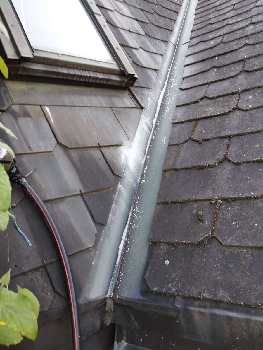  Bienennest entfernen.jpeg