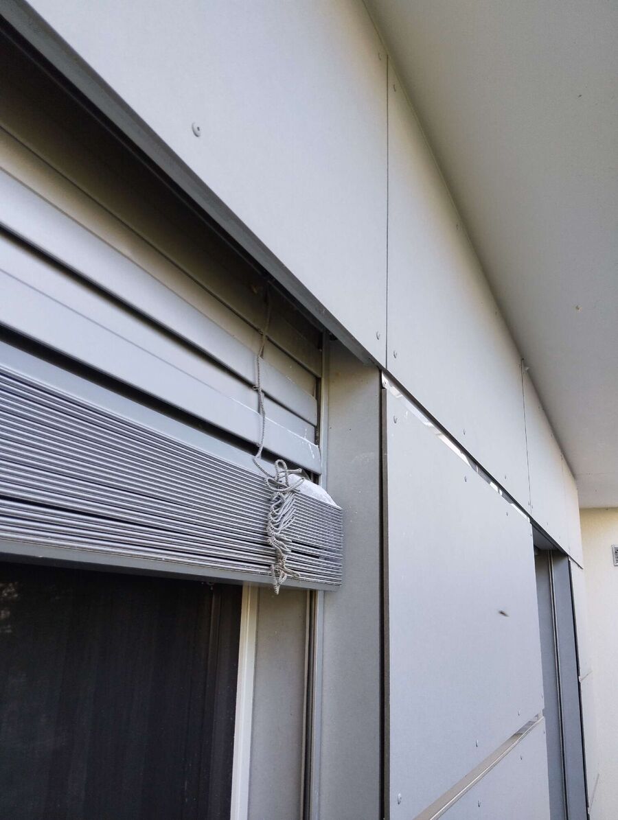  Bienennest entfernen