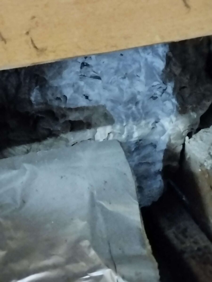  Bienennest entfernen.jpeg