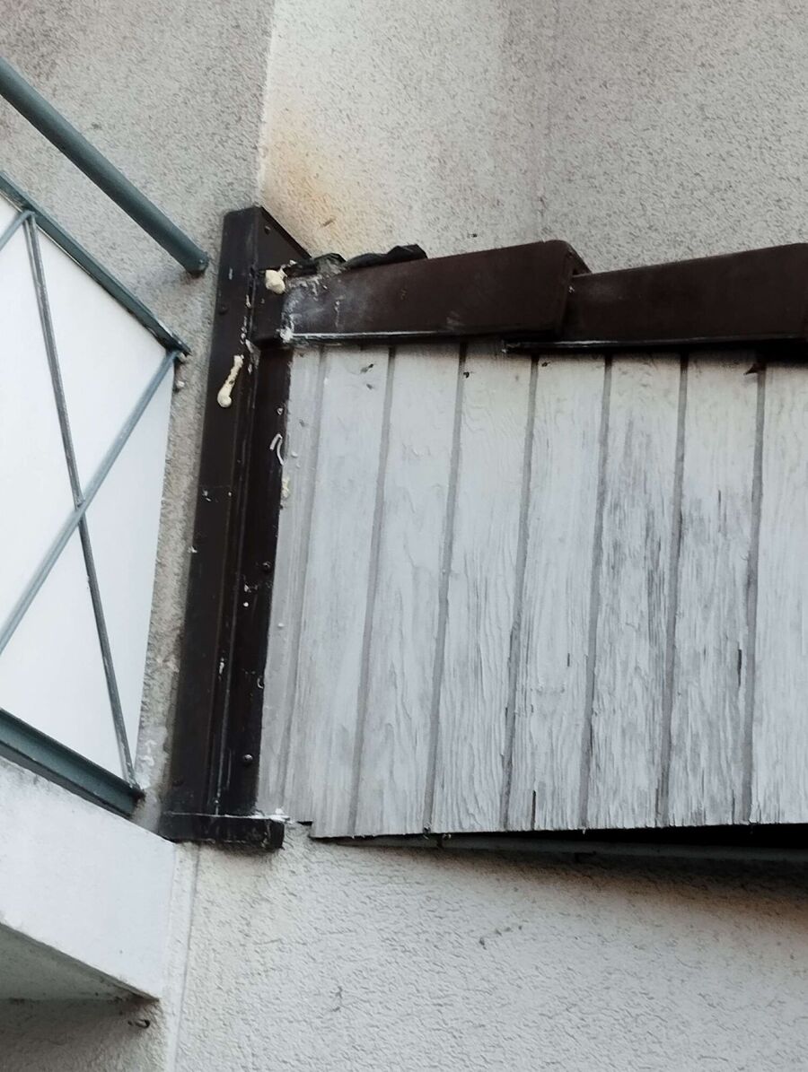 Bienen umsiedeln &  Bienennest entfernen 