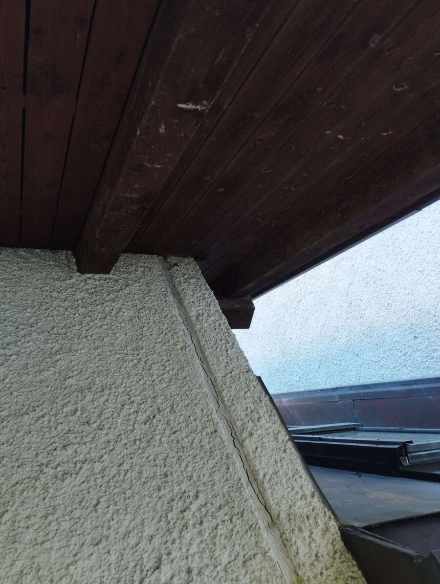 Bienen umsiedeln &  Bienennest entfernen 