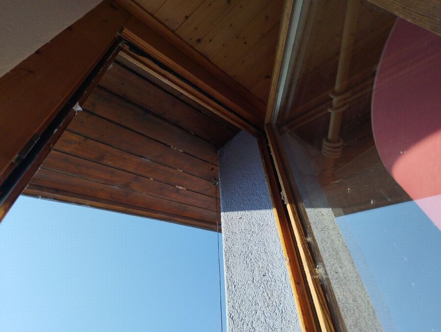  Bienennest entfernen