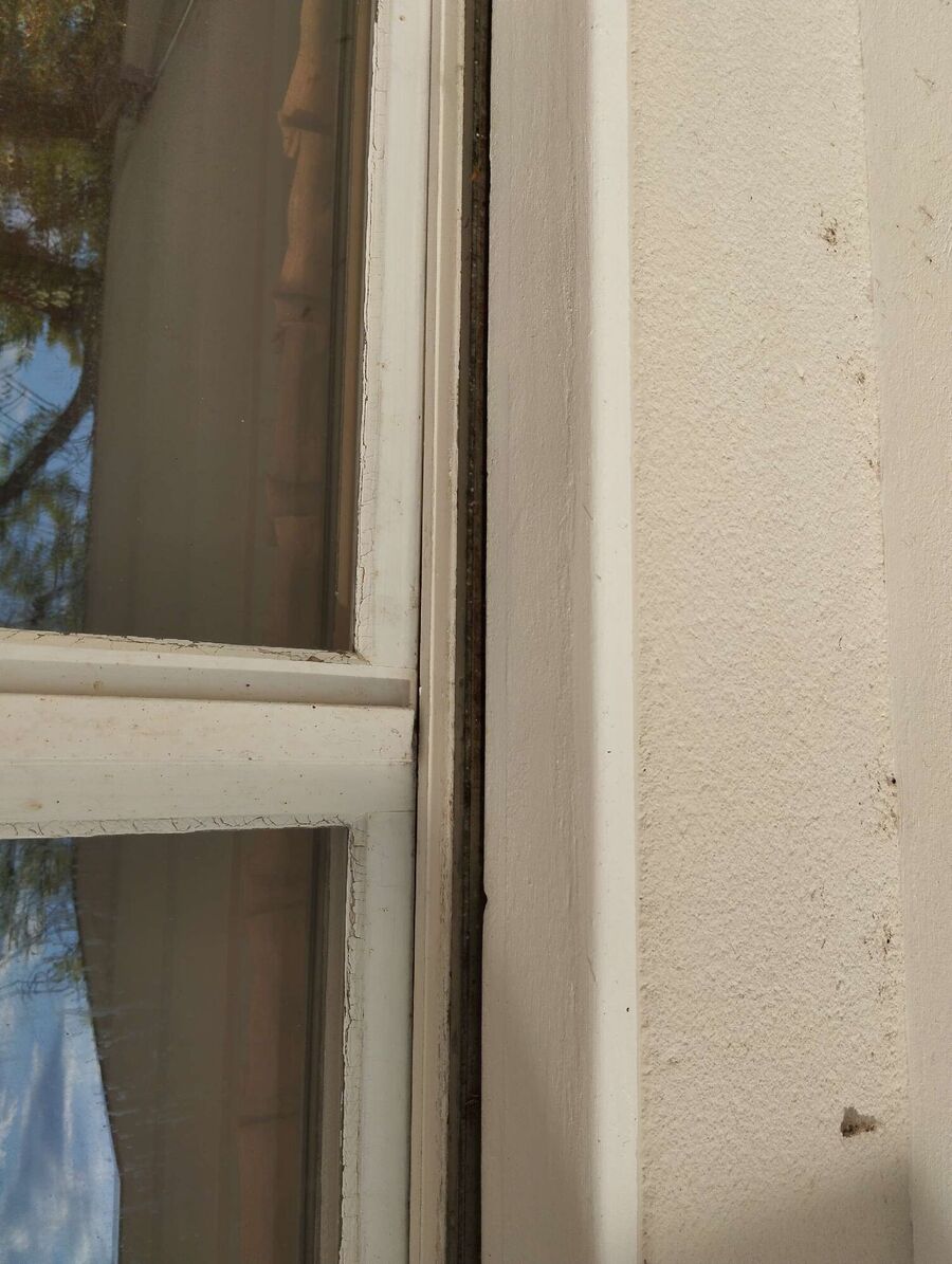  Bienennest entfernen