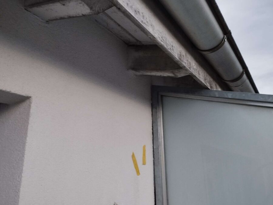 Bienen umsiedeln &  Bienennest entfernen 