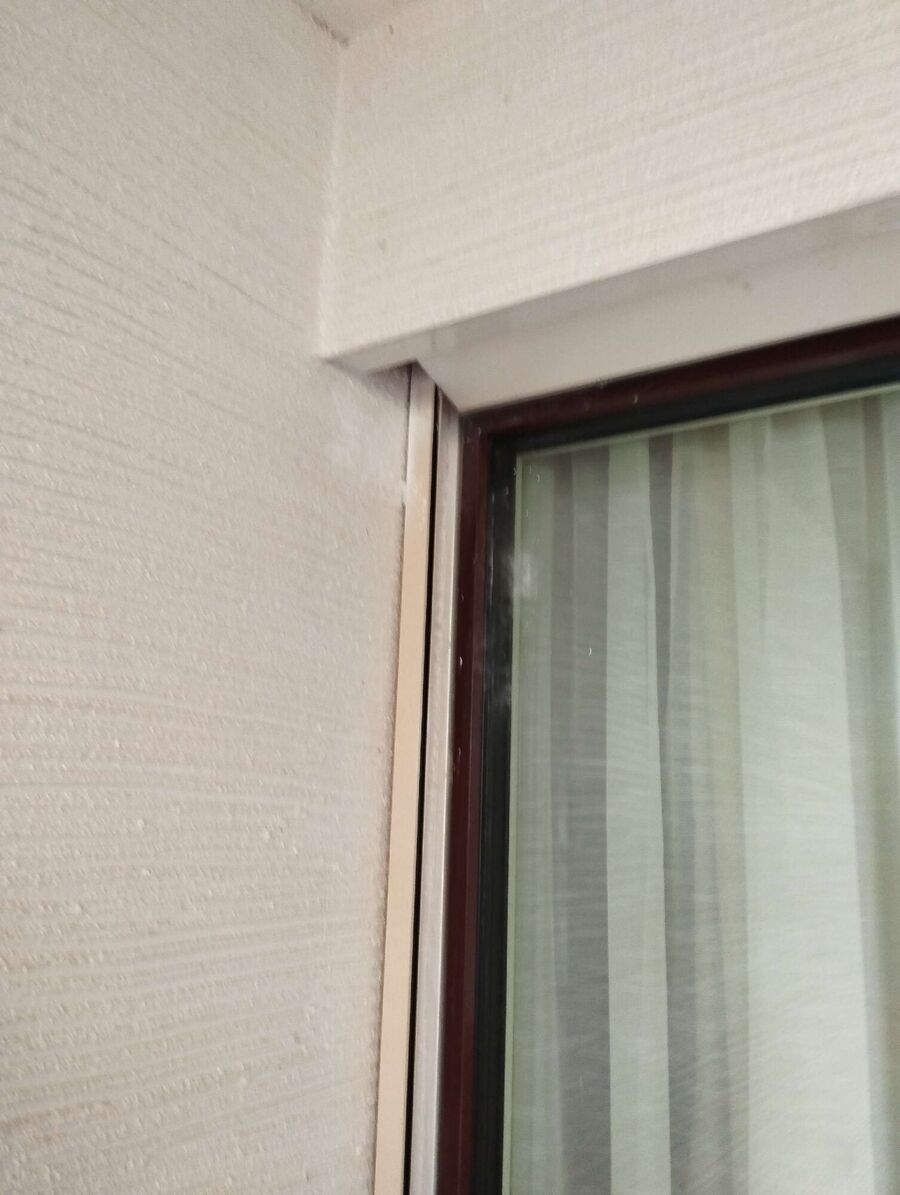 Bienen umsiedeln &  Bienennest entfernen 