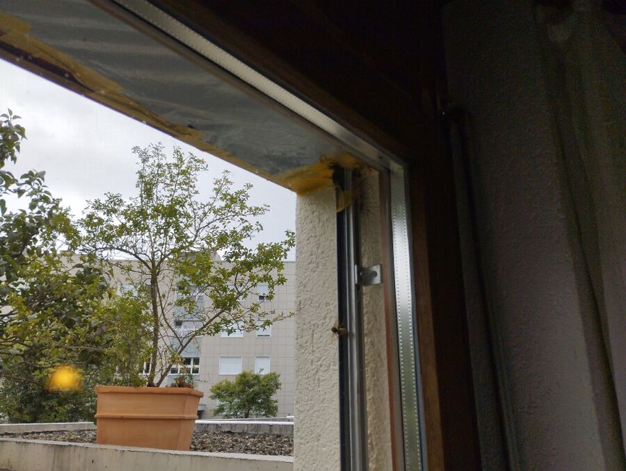  Bienennest entfernen.jpeg