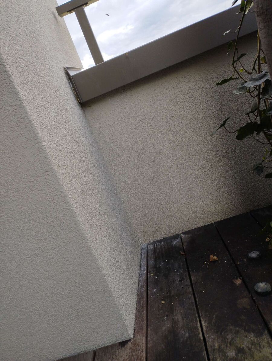  Bienennest entfernen.jpeg