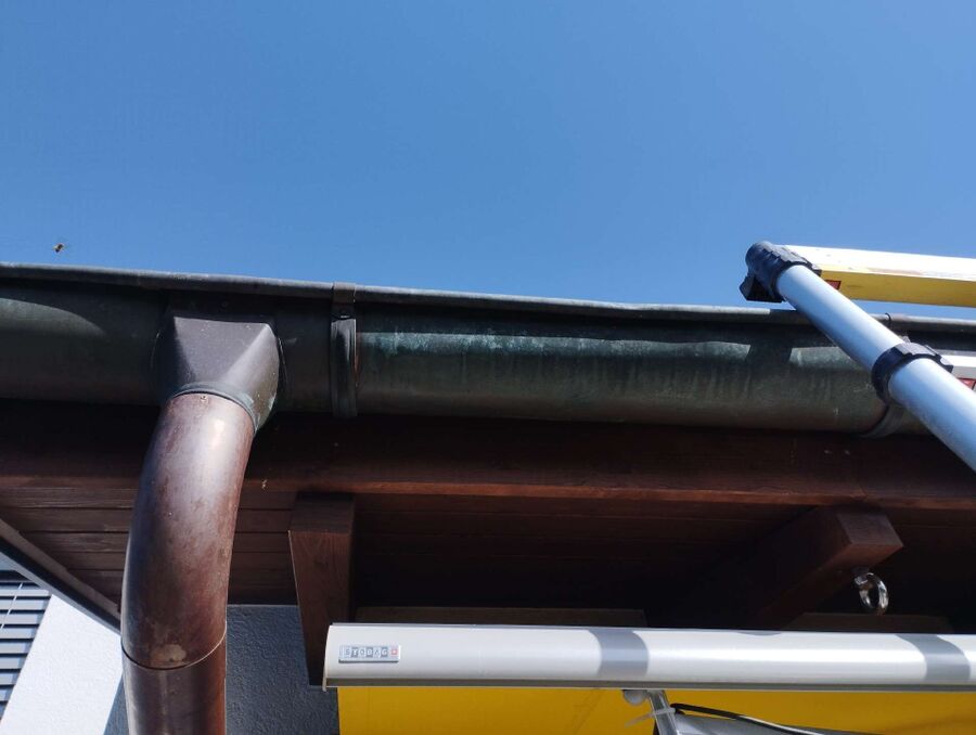  Bienennest entfernen.jpeg